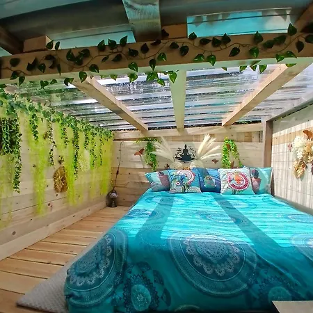 La De L'o Re Des Bois , Bain Norvegien, Sauna, Massages Lyxtält Laussonne